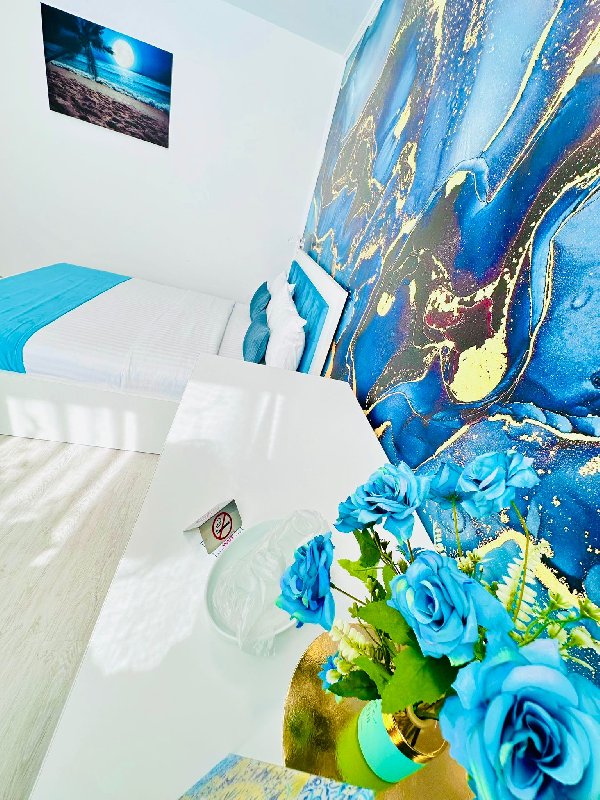 IANIS ROOMS. imagine 10