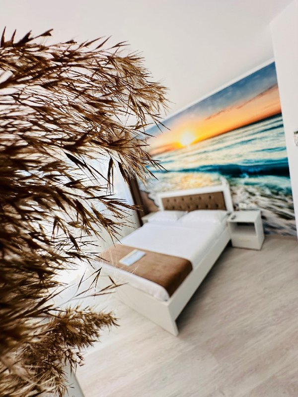 IANIS ROOMS. imagine 18