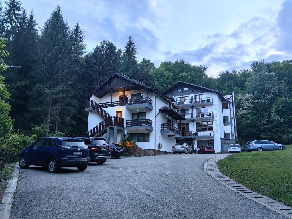 . Trei Brazi Hotel