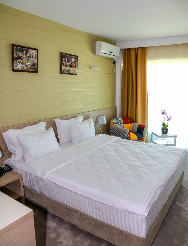 HOTEL ALCOR imagine 7