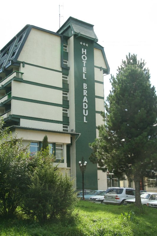 Hotel Bradul