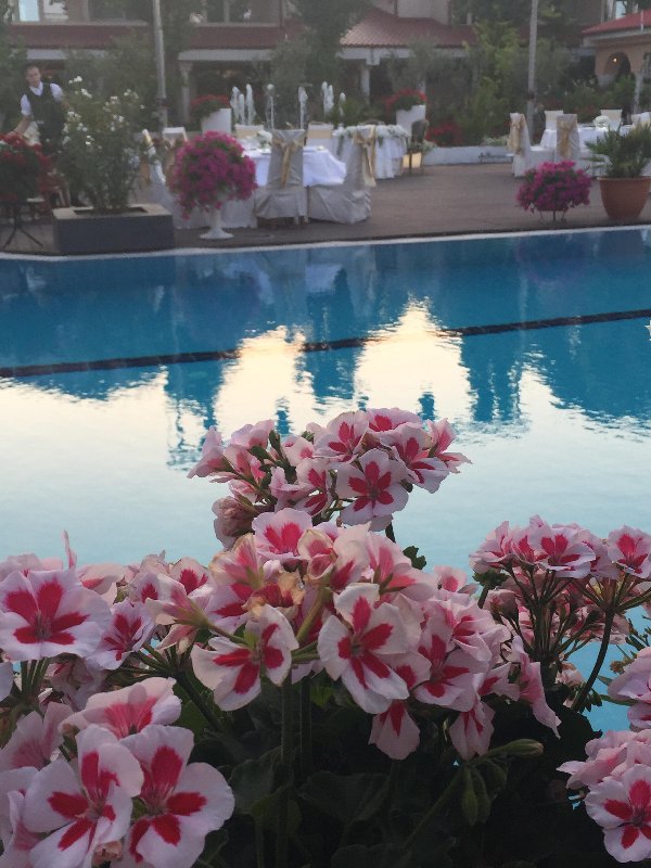 VOX MARIS GRAND RESORT. imagine 22