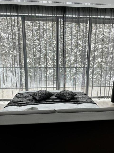 Hotel Pestera Wellness Spa. Moroeni Parcul Bucegi Cota 1610 