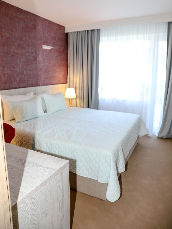 HOTEL DORNA imagine 5