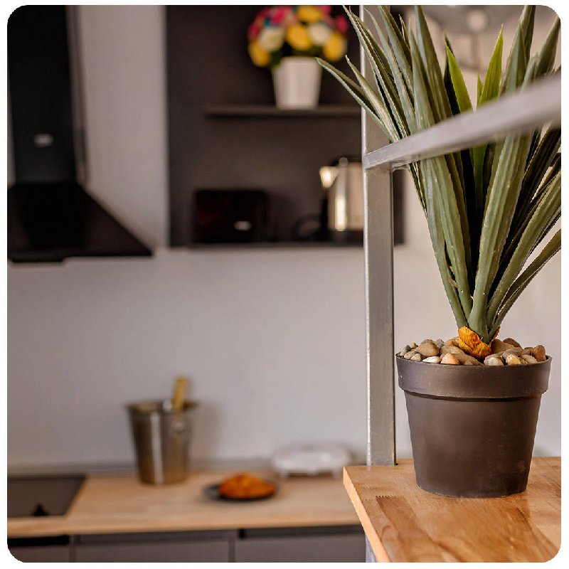 Aquarium Residence 1.