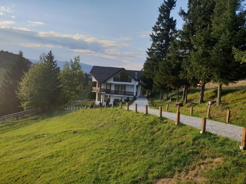 poza_1